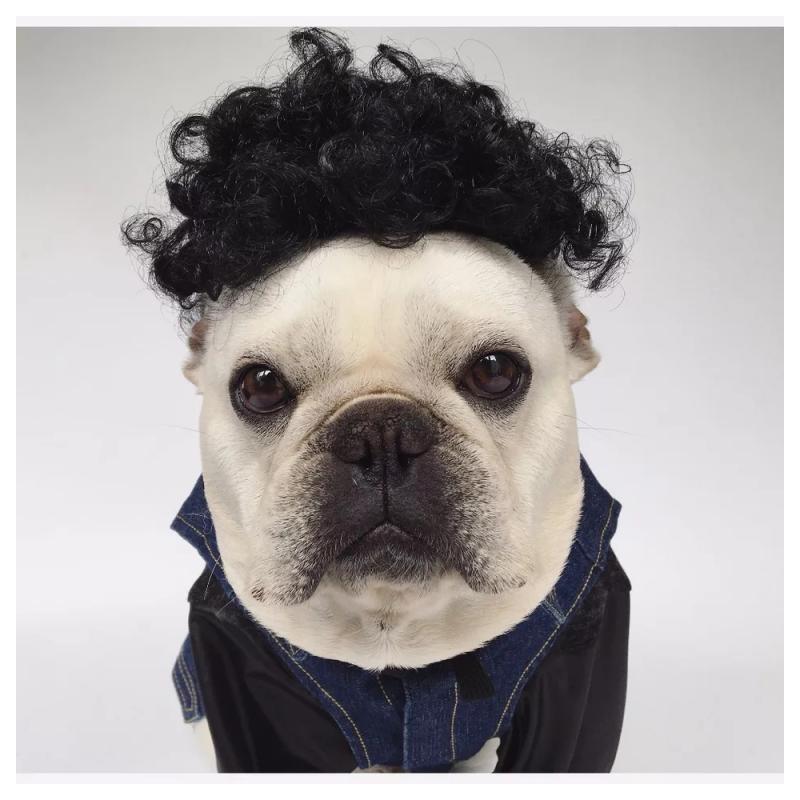 Pet Wigs