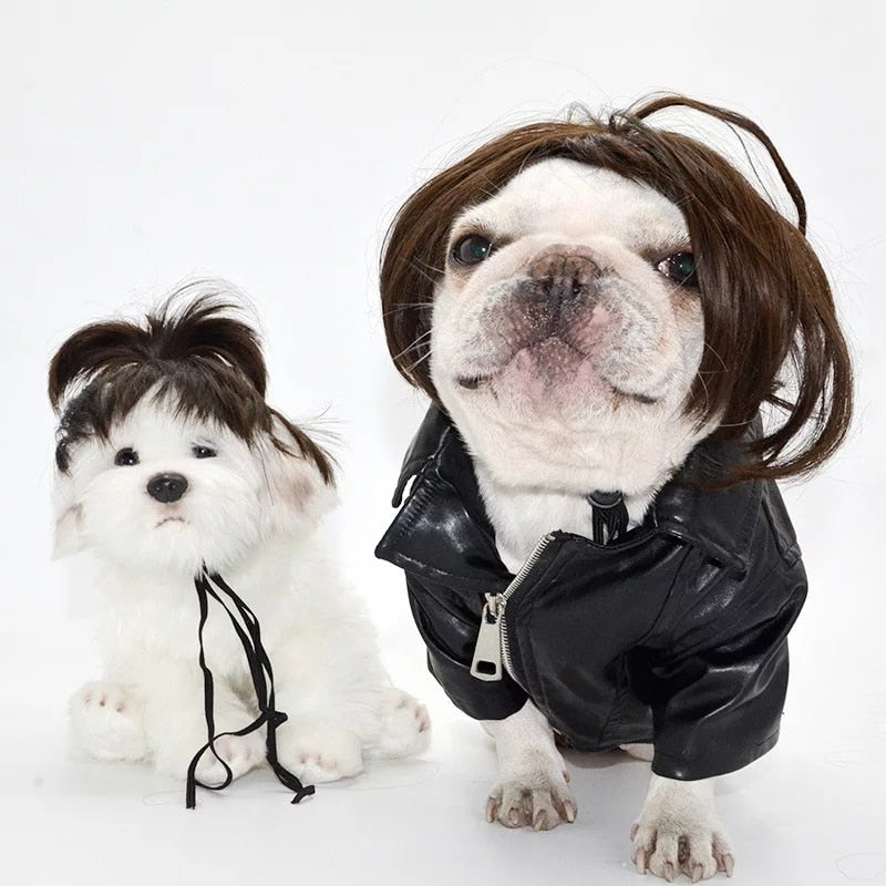 Pet Wigs