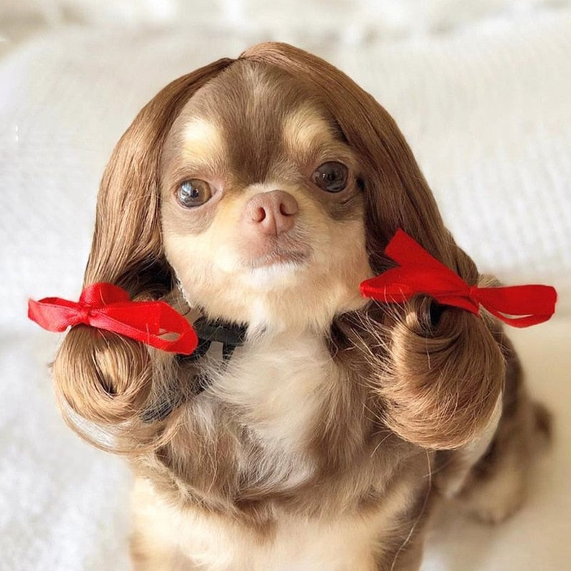 Pet Wigs
